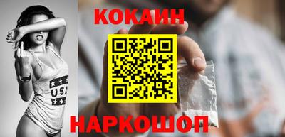 СК Новодвинск