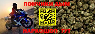 СК Новодвинск