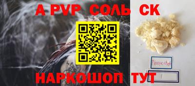 СК Новодвинск