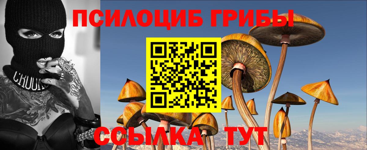 закладка  Вход с VPN  Ставрополь  Галлюциногенные грибы мицелий 